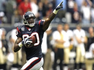 Andre Johnson picture, image, poster